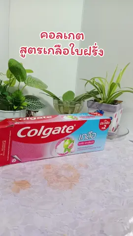 #ยาสีฟันสูตรเกลือใบฝรั่ง #คอลเกตสูตรใหม่ #คอลเกตสูตรเกลือใบฝรั่ง ใบฝรั่ง
