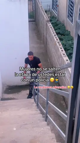 @elpolimodelo 