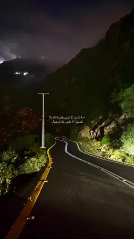 ما تشين إلا تزين بقدرة اللّٰه                                      ولا تضيق الا على ربك فرجها ،