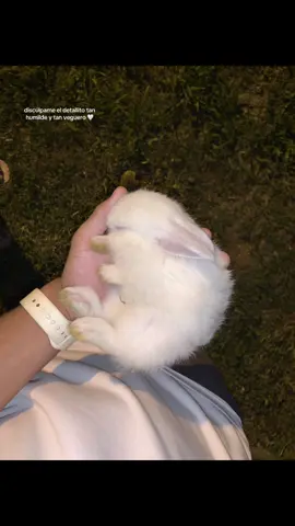 🐇