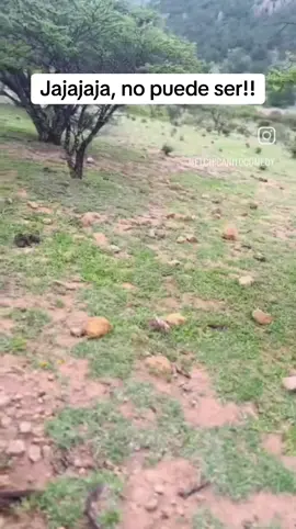 Bien grabado 