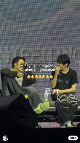 Ghibah apa lu bedua 😭😭😭😭🤏  #mingyu #seungkwan #seventeen17_official #hybelabels #goingseventeen 