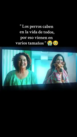 Nosotros no los elegimos,ellos son quienes nos eligen.🤎🐶 CARAMELO #caramelo #netflix #recomendations #paratiiiiiiiiiiiiiiiiiiiiiiiiiiiiiii #compartelo 