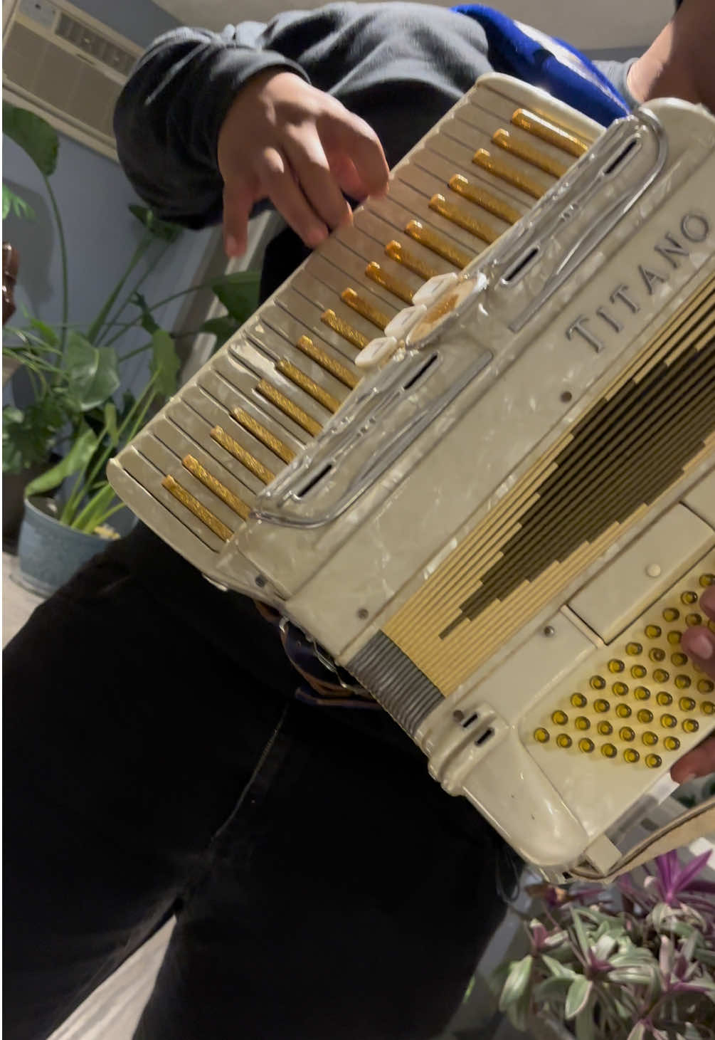 Serás mía ❤️‍🔥 - Canelos de Durango / #paratiiiiiiiiiiiiiiiiiiiiiiiiiiiiiii #canelosdedurango #serasmia #accordion #corrido 