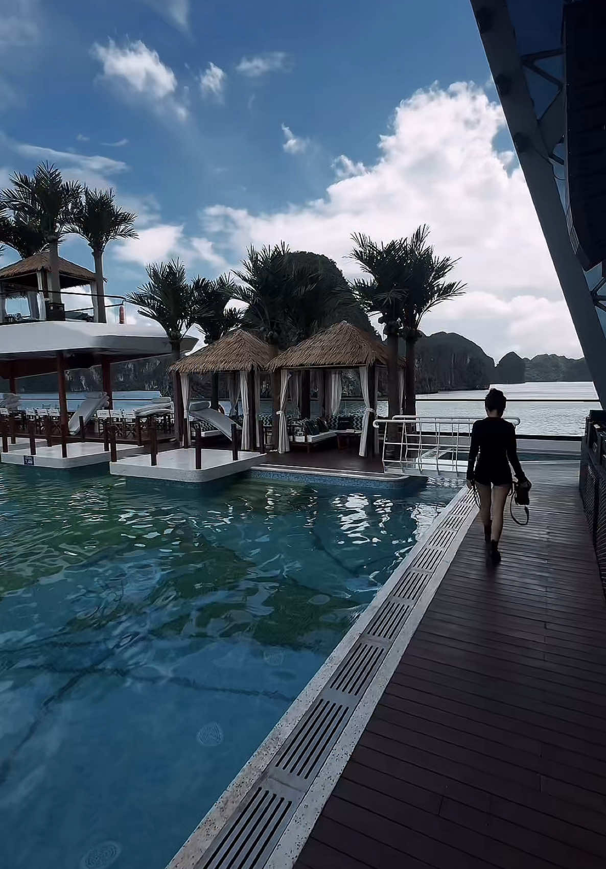 Du thuyền Dolphin Hạ Long #halongbay 