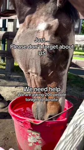 We keep asking. Please don't forget about us. We need your help today more than ever .  Donations can be made through PayPal link in bio.#Explore #explorepage #beauty #travel #nature 