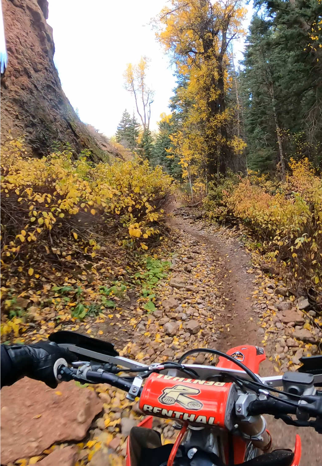 Got a lot of work to do but had a blast for my first time out on a dirt bike. A lot of people say a 450 is too much for a first time rider. I think I’ll get it figured out and be happy with the crf450rx. Definitely a lot more work than riding a street motorcycle. #crf4504x #hondadirtbike #dirtbike #firsttimerider #trailridinv