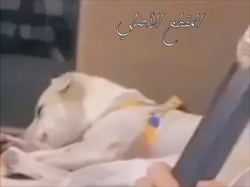 في ظني وتقديري 