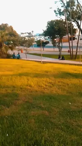 #LIVEIncentiveProgram #JustGoLIVE #PaidPartnership 