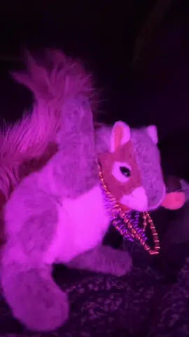 CLUB NUTELLA IS BACK IN BUSINESS #dj #fyp #edm #baddie #handpuppet 