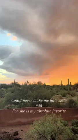 & she is my home. A state most misunderstand and mislabel. I only let the slander of her flow because it’s more for those who deserve and appreciate her 🌵 #arizona #beautiful #Home 
