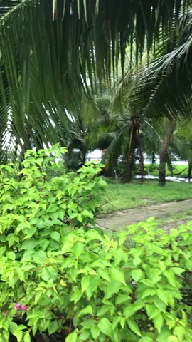 Cũng cố gắng làm cũng cố tích góp nhưng lại về con số O