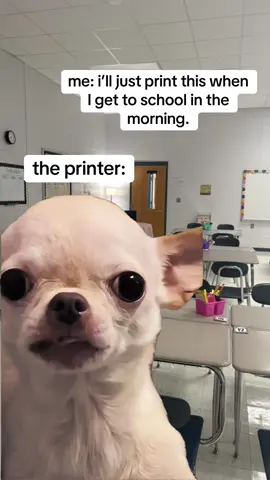 my first period students can confirm. this happens at least twice a week. especially on mondays. #teacher #teachersoftiktok #highschool 
