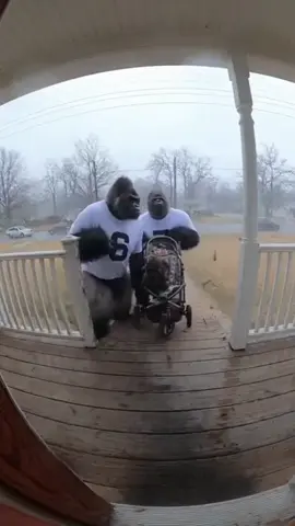 #sixseven #sora #fyp #gorilla #tornado 