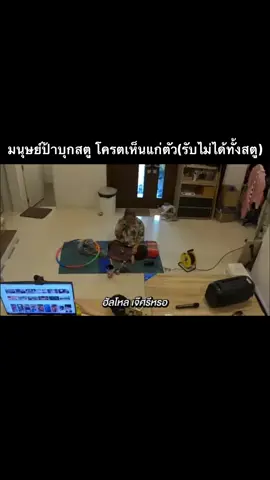 มนุษย์ป้าบุกสตู โครตเห็นแก่ตัว(รับไม่ได้ทั้งสตู) #epictime 
