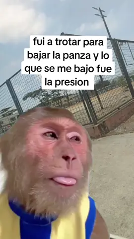 #Meme #MemeCut #CapCut 
