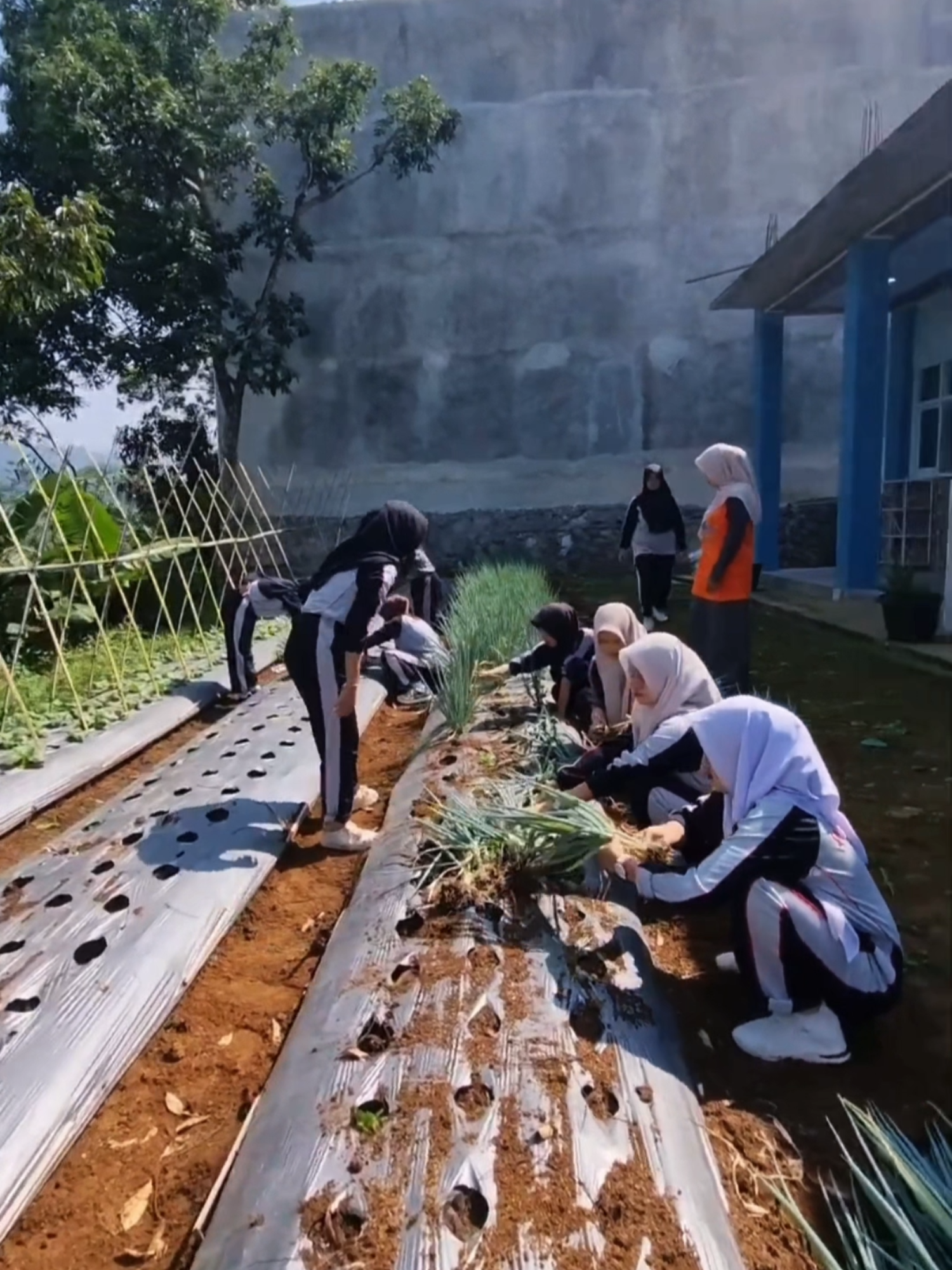 Kecil atau besar, setiap tindakanmu untuk lingkungan sangat berarti #smaatijaarah #gapurapancawaluya #sekolahasri #sekolahsehat #pendidikanekologi