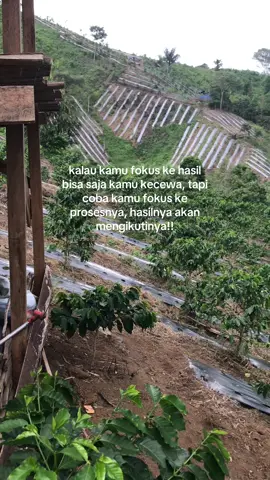 ubah mindset demi kebutuhan hidup, bukan GAYA HIDUP!! 💪🏻🔥 #petanimuda #bossmuda #perintismuda #pemudasukses 