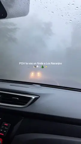 un chocolatito con esta neblina en Los Naranjos es una joya🌬️☕️🍃 #elsalvador #neblina #losnaranjos #parati 