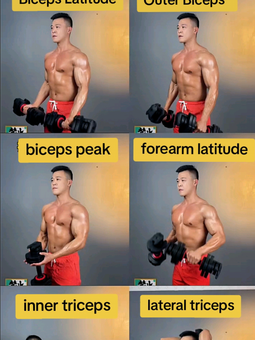 💯💪A pair of dumbbells to train your arms A pair of dumbbells to train your arms #Fitness #dry  #strength #training #homeworkout @ClipzzEditzz @𝑭𝒂𝒛𝒛𝒚 @𝓮𝓻𝔃𝔁𝖑𝖑𝖞 