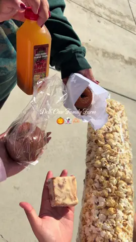 Pumpkin patch fun 🎃👻 #pumpkinpatch #dellossofamilyfarm #spookyseason 