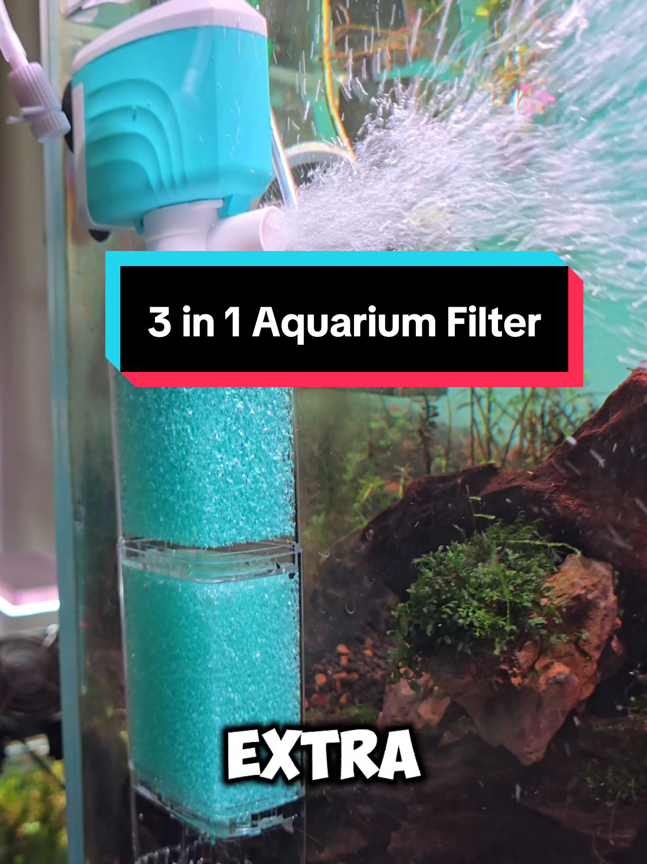 Unboxing 3-in-1 Aquarium Filter Setup Filter + Oxygen + Pump all in one 😍 •Simple Setup for your Aquarium  #aquascaping #aquascape #aquaticplants #aquascapemalaysia #aquarium #aquariumhobby #aquariumfilter #aquadesignamano #beginner #beginneraquarium #beginnerfriendly #beginnertank #blackemperortetra #dutchaquascape #dutchaquarium #emperortetra #fishkeeping #fishkeepinghobby #fishkeepingtips #fishtank #fishtok #filter #maintanance #nanoaquarium #nanotank #natureaquarium #neontetra #plantedaquarium #plantedtank #petcare #petcaretips #pump #tetrafish