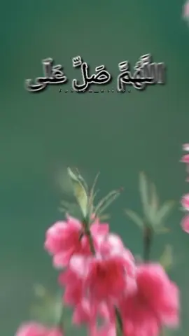 #درودشریف_پڑھ_کر_آگے_شیئر_ضرور_کرے #صلی_اللہ_علیه_وآله_وسلم #foryoupage❤️❤️ #viralvideo #fyp 