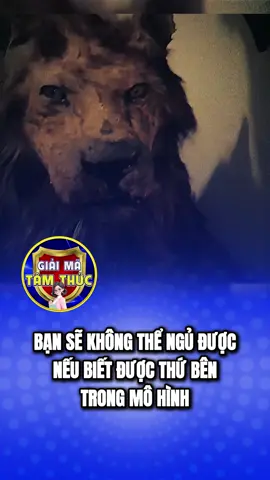 #giaimatamthuc #xuhuong #bian #tamlinhhuyenbi #tamlinh 