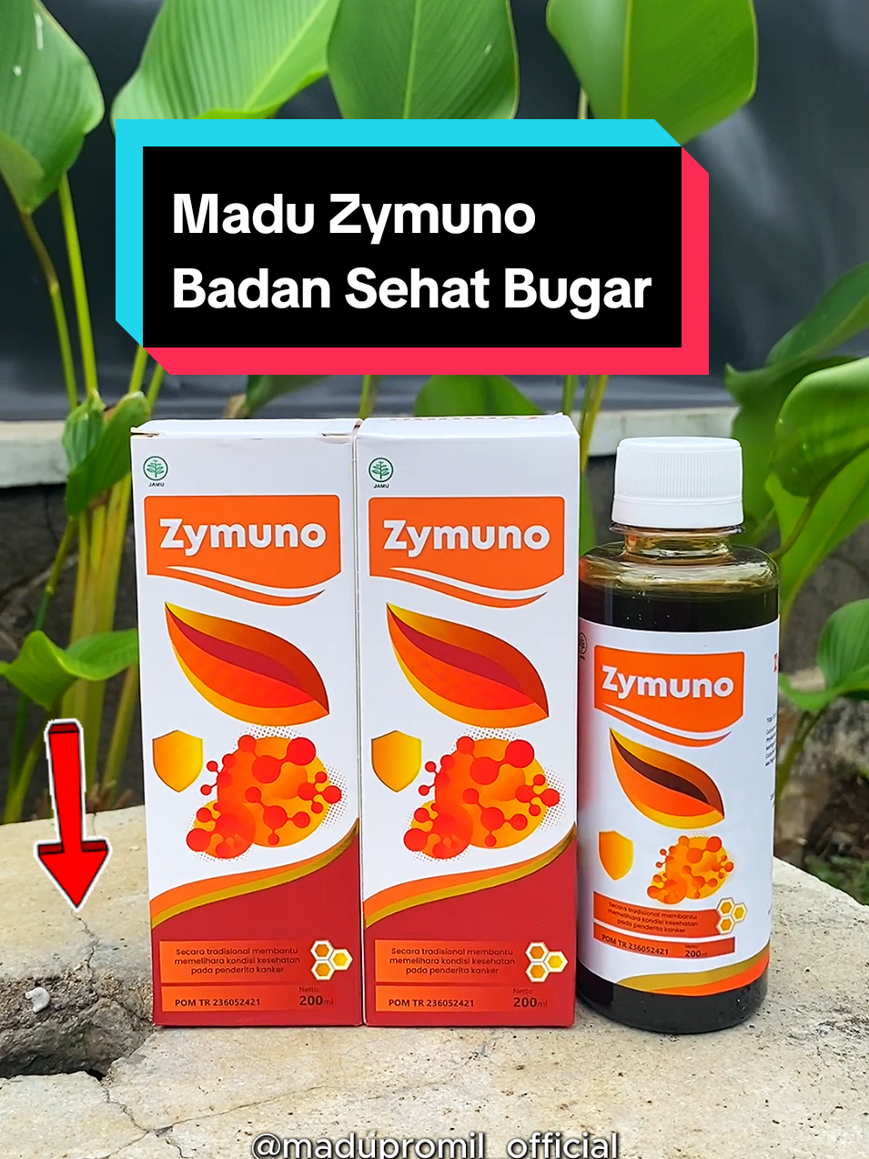 manfaat zymuno - zymuno asli - cara minum zymuno - zymuno review jujur - zymuno untuk promil - zymuno official store - zymuno manfaatnya apa -  madu alami bantu menjaga kesehatan dan meningkatkan imunitas tubuh, - zymuno original #zymuno #zymunoasli #promil #maduzymuno #promozymuno 