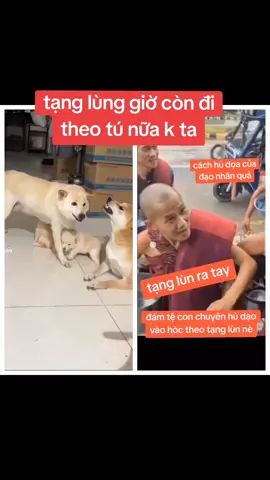 tạng lùng