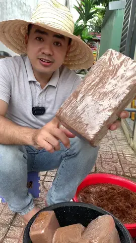 Xơ dừa trồng cây đã rẻ nay e tặng thêm hạt giống nữa nha