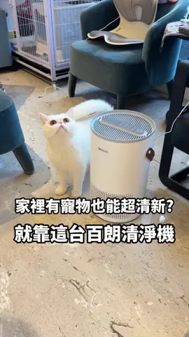家裡有狗狗貓貓的人 真的必備這台👉小空淨機 #空氣清淨機 #空氣淨化 #空氣清淨機推薦 #好物推薦
