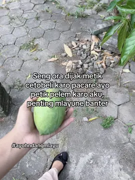 Sat set#fyppppppppppppppppppppppp #berandatiktok #mangga 