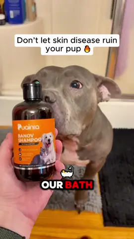 @PUAINTA.US #puaintapet #puainta #banovshampoo #dogbathtime 
