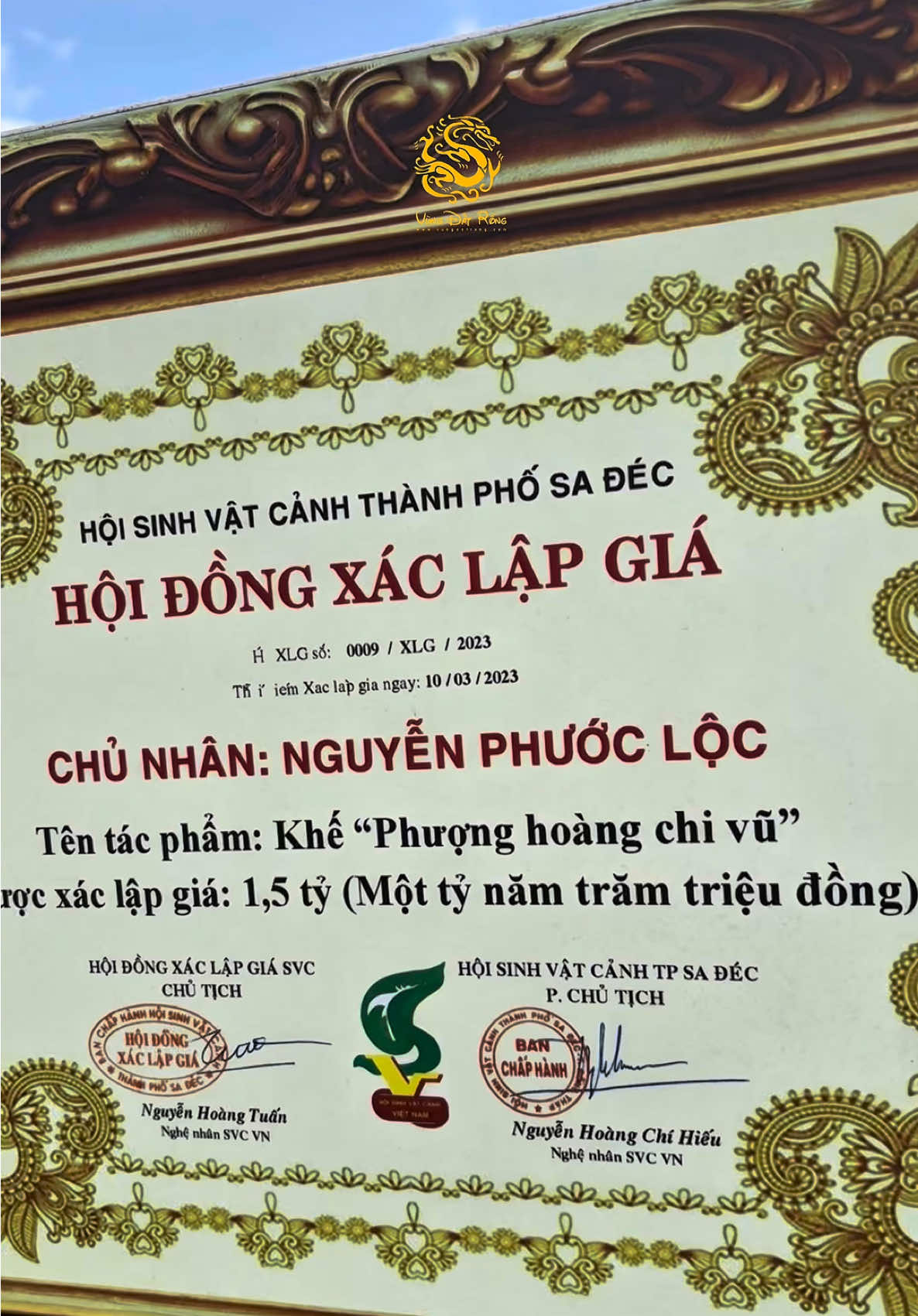 Độc đáo cây Khế cổ thụ bonsai “Phượng Hoàng chi vũ” có giá 1,5 tỷ ở Sa Đéc.! #vungdatrong #khebonsai #bonsai #baotangbonsaisadec 