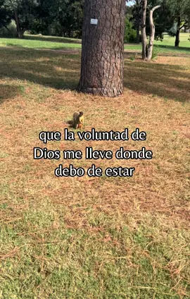 #CapCut #diostebendiga❤️ #fyp❤️ 