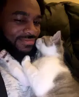 cat love 🐈‍⬛️ #catsoftiktok #catlove #cats #catkisses 