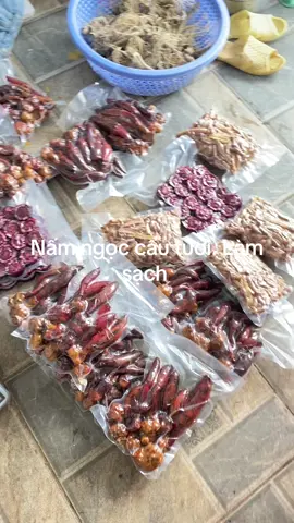 Nấm ngọc cẩu tươi. #dacsantaybac #ngoccau 