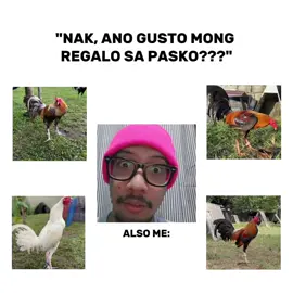 kahit ito lang ma sa pasko hehe😜 salamat sa mga sumosuporta! credits to the owner!!! #batangsabungero❤️🐓 #manok #fyp 