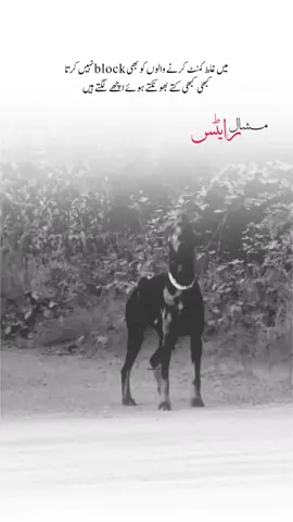 plzz unfreeze my account ❤️ #dontunderreviewmyvideo #foryou_page_viral_video #tiktok_viral_video #thanks 