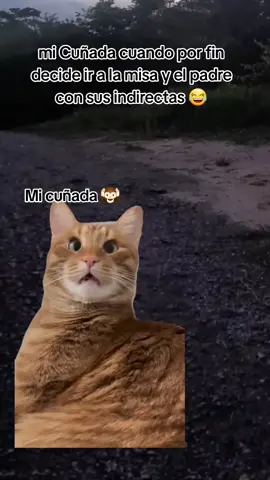 #Meme #MemeCut #CapCut #