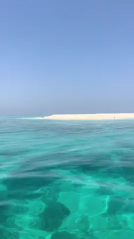 #جزيرة_جريد_في_الجبيل🎣🦪🏝️🏊🏊‍♀️ #اكسبلورexplore 