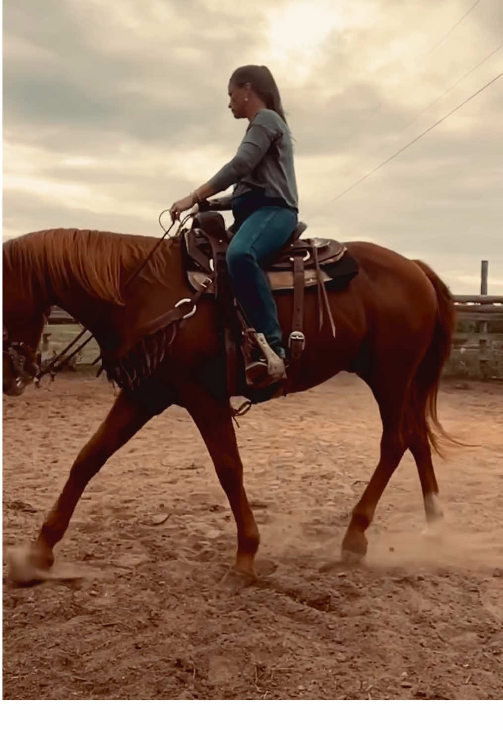 Just posting for the hell of it. #extensionagent #dailylife #horses #foryoupage #fypシ 