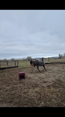 We whether the weather !  #buildingconfidence  #mindandbody  #mountainaidehorsemanshipllc 
