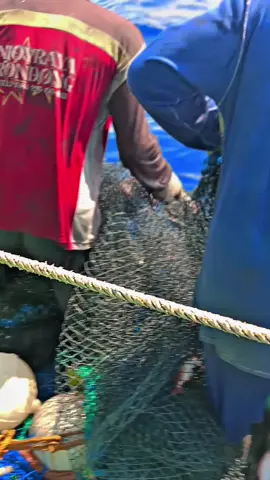 #nelayanlamongan #nelayan #nelayan #