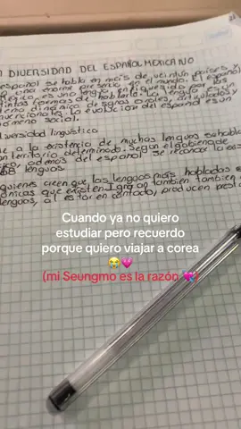 @Stray Kids @straykids_japan #fyp #pinchetiktokponmeenparati #seungmin #stay #straykids 