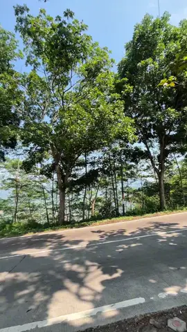 Lokasi itu kunci dalam investasi tanah 🔑 Bayangin, punya kavling yang: 📍 Dekat rest area → akses gampang 🌿 Akan dibangun agrowisata → potensi wisata dan nilai tanah naik Mulai dari harga yang masih ramah di kantong, tapi potensi ke depannya luar biasa 💥 #KavlingBerkembang #AsetMasaDepan #KavlingPuncak #Tanahkavling #kavling #villa #villapuncak #tanahmurah #travel #cianjur #bogorhits #explore #family #familytime #fyppppppppppppppppppppppp #fyp #fypシ #foryou #foryoupage 