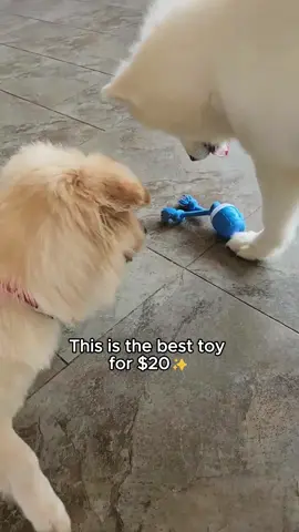 Worth every penny #dog #toy #ball #dogtoy 