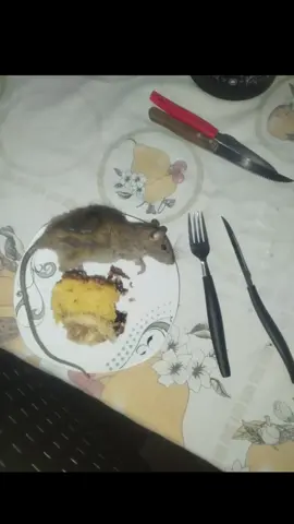 🙌 . . . #fy #meme  #viral #yuri22 #naoflopa 