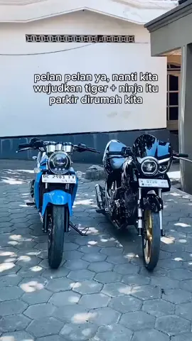 misale🥰🤲🏻 #fypシ゚ #tigerinsomnia #tigergank🤙 #ninjass 